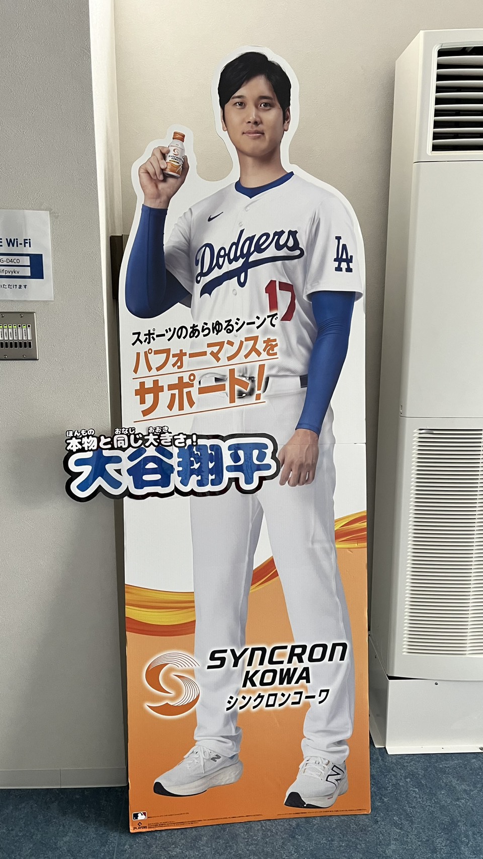 S__378339331.jpg